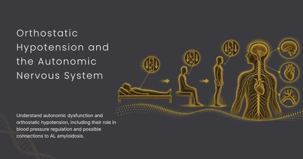 Orthostatic Hypotension and the Autonomic Nervous System