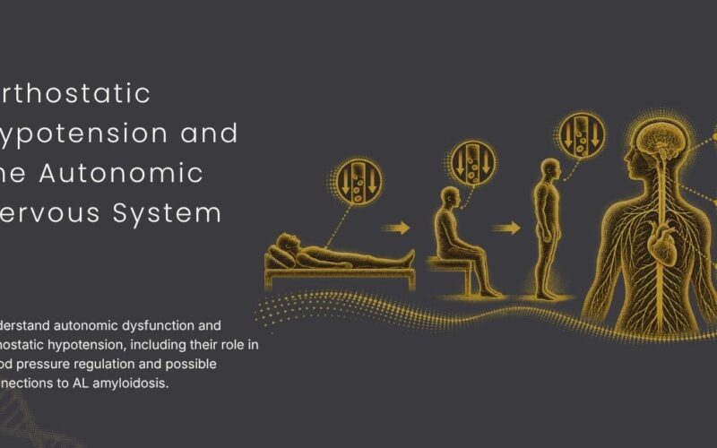 Orthostatic Hypotension and the Autonomic Nervous System